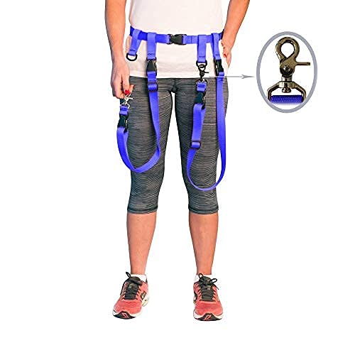 The Buddy System Accessories For Our Dog Leashes Made In Usa (Extra Buddy, Regular Dog Blue)