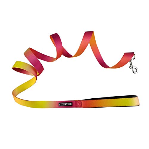 Doggie Design Ombre Leash (1 Inch Wide X 6 Feet Long, Raspberry Pink And Orange)