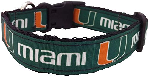 College Dog Collar (Large, Miami)