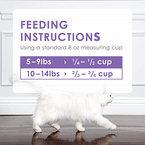 Fancy Feast Dry Cat Food with Chicken & Turkey - 12 lb Bag - Savory Flavor