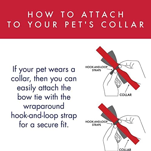 Huxley & Kent Bow Tie For Pets - My Puppy Love (Large) - Valentine'S Day Bow Tie Collar Attachment - Fun Bow Ties For Dogs & Cat