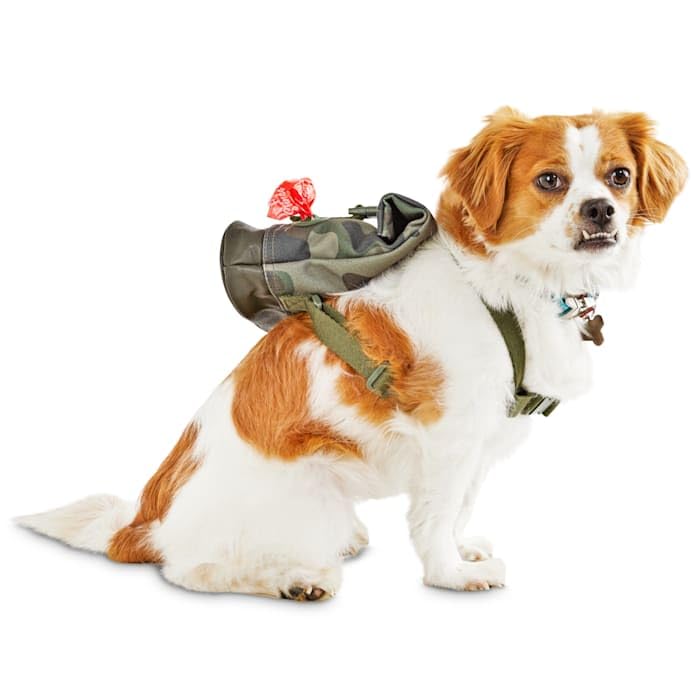 Reddy Camo Canvas Dog Backpack, Small/Medium
