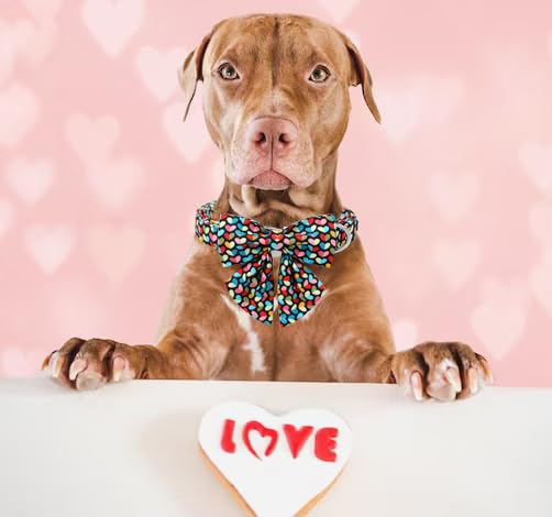 Unique Style Paws Valentine'S Dog Collar With Bow Colorful Heart Love Dog Collars For Small Medium Large Dog New