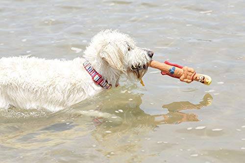 DOOG - The Supersticks Incredible Stalk Fetch Toys Safer Than Real Sticks, Splinter Free, Glow-in-The-Dark Eyes, Floats, Easy to