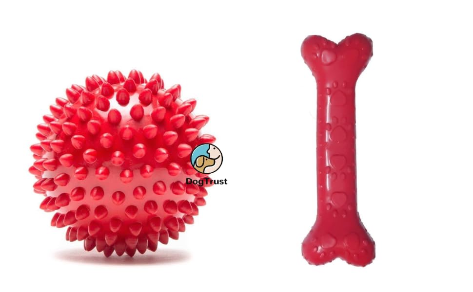Dog Trust Best Interactive Toys For Cats  Motion Mouse/Mice And A Scratching Pad, Catch The Mouse, Catnip, Cat Scratcher Catnip