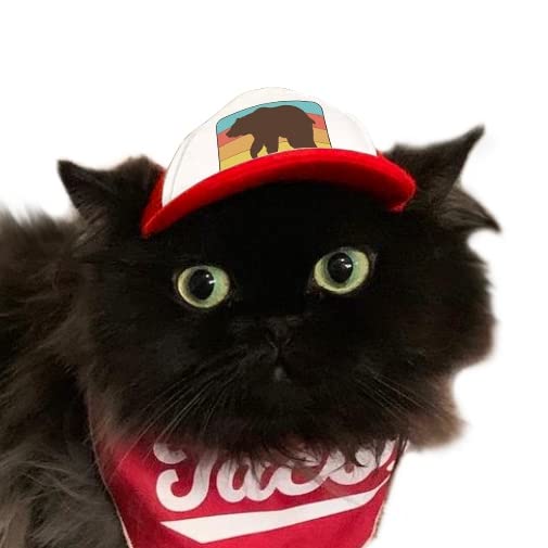 Puplid Trucker Hats For Kittens - Premium Stylish Sun Protection For The Modern Cat - Adjustable Secure Fitting Cat Hat (Red, Be