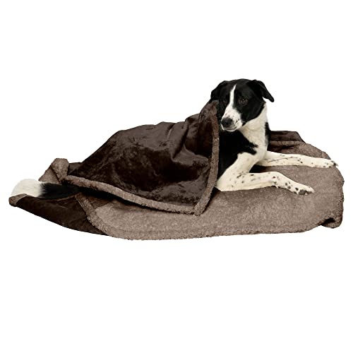 Furhaven Waterproof & Self-Warming Throw Blanket For Dogs & Indoor Cats, Washable & Reflects Body Heat - Soft-Edged Terry & Sher