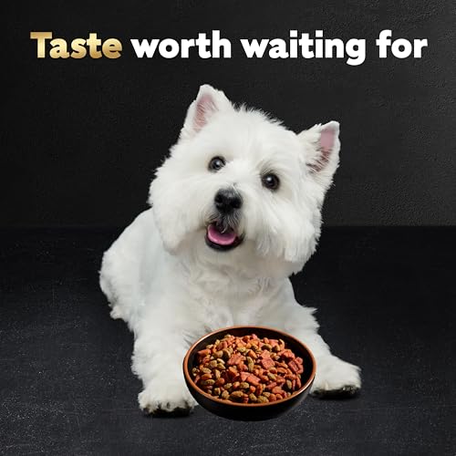CESAR Small Breed Dry Dog Food Rotisserie Chicken Flavor and Spring Vegetables Garnish, 2.7 lb. Bag