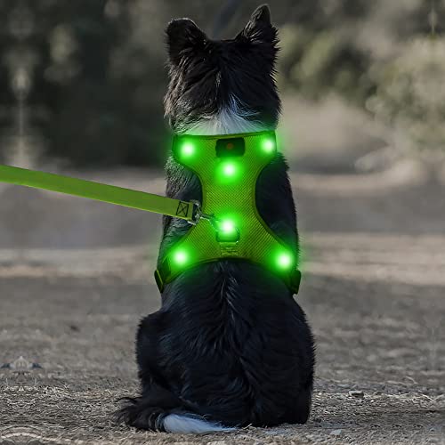 DOMIGLOW Light Up Harness for Dogs, No-Pull LED Dog Harness, USB Rechargeable Glowing Pet LED Vest for Night Walking Camping (Gr