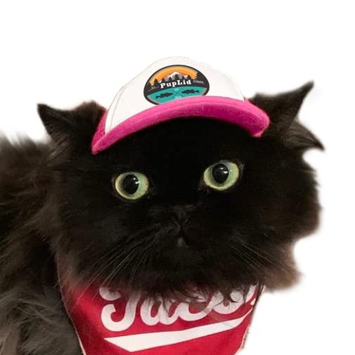 Puplid Trucker Hats For Kittens - Premium Stylish Sun Protection For The Modern Cat - Adjustable Secure Fitting Cat Hat (Pink, A