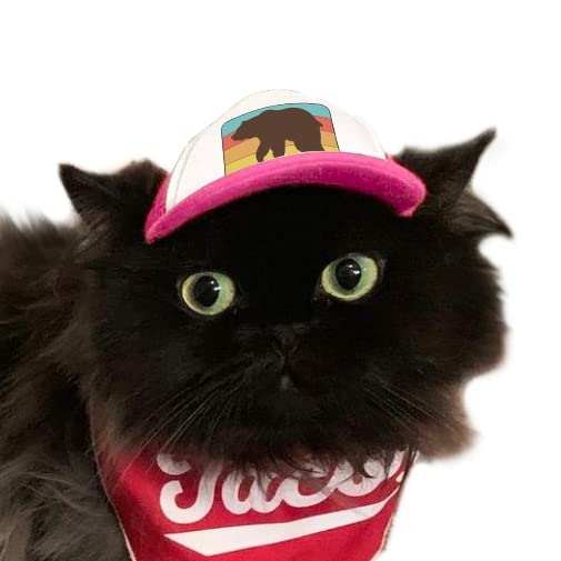 Puplid Trucker Hats For Kittens - Premium Stylish Sun Protection For The Modern Cat - Adjustable Secure Fitting Cat Hat (Pink, B