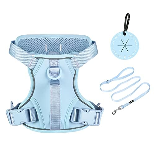 Petmolico Dog Harness For Small Dogs, Cute Harness Vest With Two Leash Clips And Soft Handle, Reflective Easy Walk Puppy Vest - 