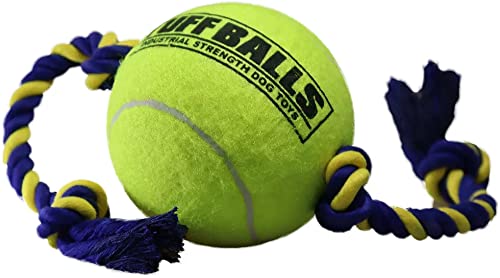 Petsport Giant Tuff Ball with Cotton Tug Rope Toy 20 | Durable Tug & Fetch | NonToxic for Puppies & Adult Dogs | Dental Hygien