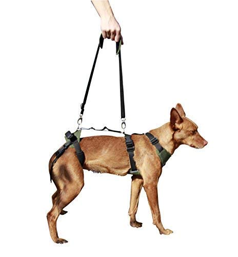 Ortocanis - Full-Body Dog Harness For Fore And Hind Support. Size M