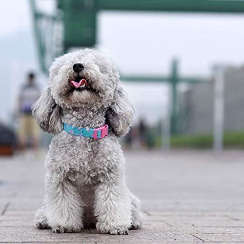 Azuza Bowtie Dog Collar, Soft & Comfy Dog Collar With Bow, Fun Patterns & Bright Color For Small Dogs