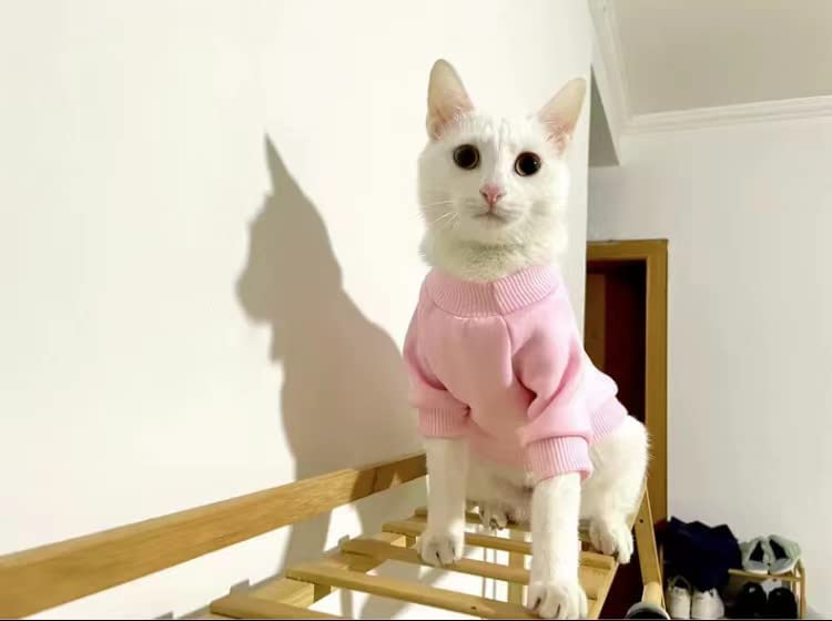 2Pc Pet Sweaters For Hairless Cats & Small Dogs - Cotton Pullover Shirts With Sleeves (Red & Pink, Small)