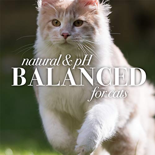 Burt'S Bees For Pets Cat Naturally Derived Dander Reducing Spray With Soothing Colloidal Oat Flour & Honey - Cruelty Free, Made