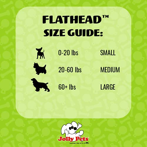 Jolly Pets Flathead Tug/Squeak Dog Toy, Alligator, Small (Fha5)