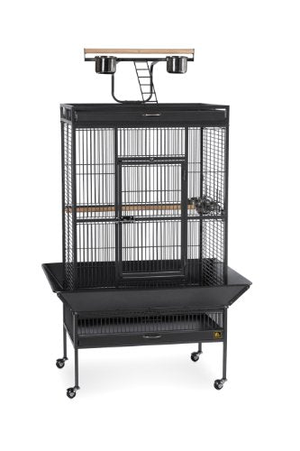 Prevue Hendryx Signature Select Series Wrought Iron Bird Cage In Black