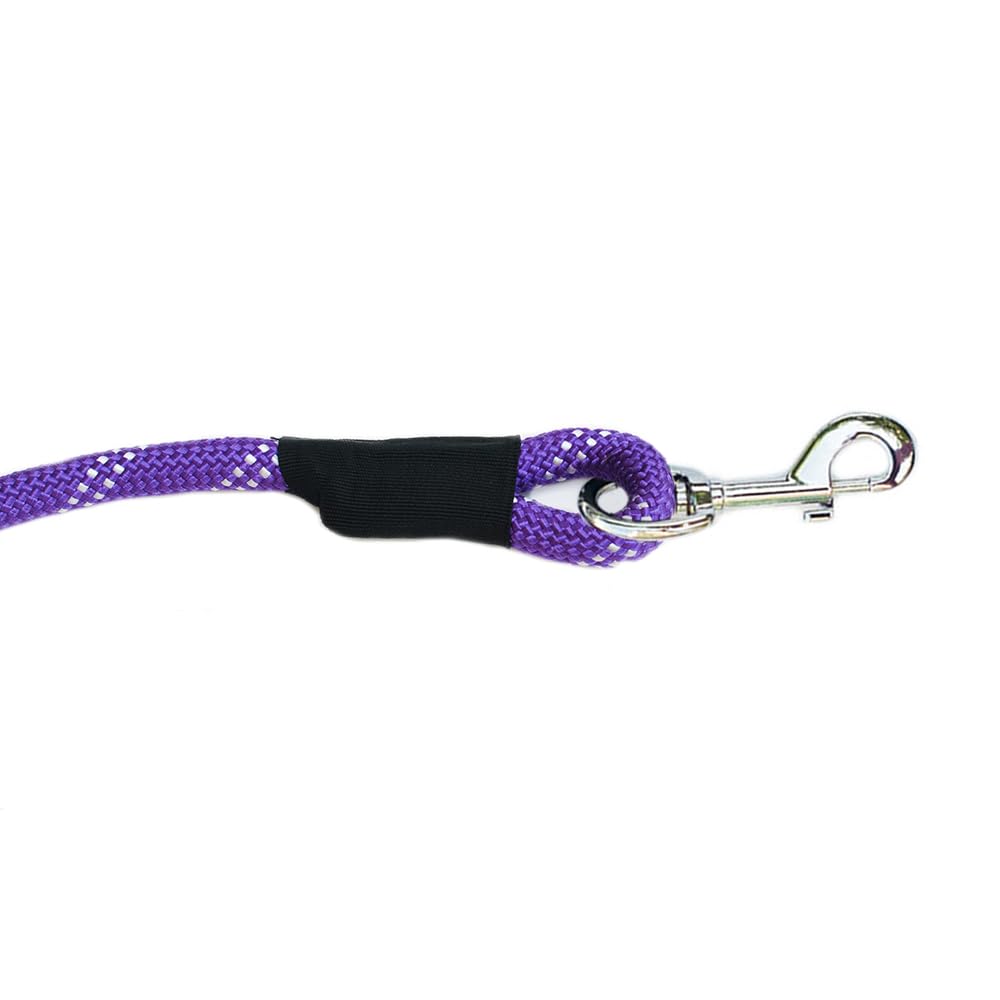 Zippypaws Climbers Dog Leash - Purple 6 Feet