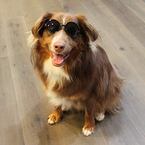 G001 Dog Cat Pet Costume Prop Round Sunglasses Medium Breeds 20-40 Lbs (Black + Hot Pink)