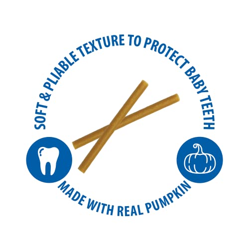 N-Bone Puppy Teething Sticks Pumpkin Flavor