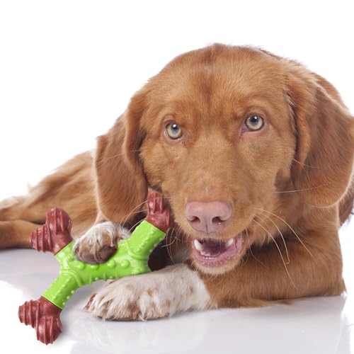 Spot Bam-Bones Dental X-Bone - Made With Bamboo Fiber And A Massaging Rubber Center To Keep Teeth Clean, Durable Oral Care Dog Chew For Light Chewers & Teething Puppies Under 25Lbs, 6In, Apple Flavor