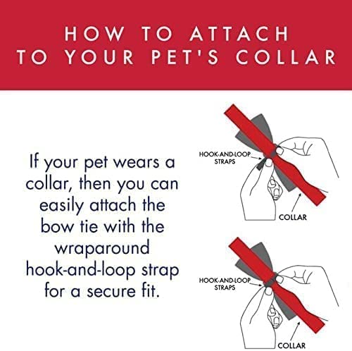 Huxley & Kent Bow Tie For Pets | Kisses (Small) | Valentine'S Day Pet Bow Tie Collar Attachment | Fun Bow Ties For Dogs & Cats | Cute, Comfortable, And Durable