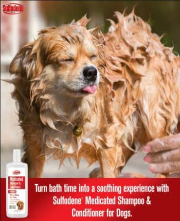 Sulfodene Medicated Shampoo 12 Oz - Pack Of 4