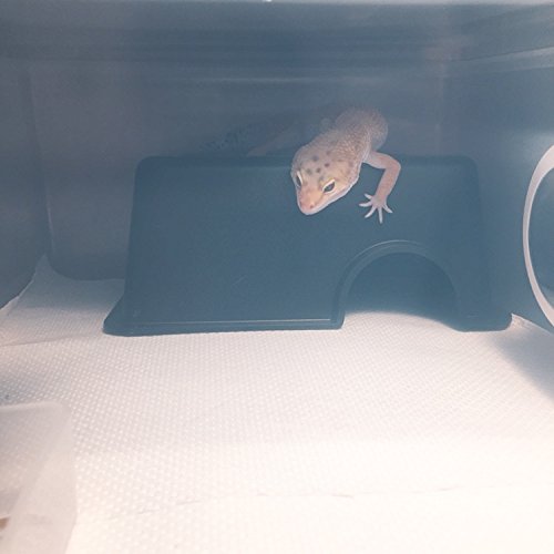 Hypeety Reptile Hide Box, Small Animal Hideaway, Hides With Texture Help Peeling, For Snakes, Lizards, Leopard Gecko (S)