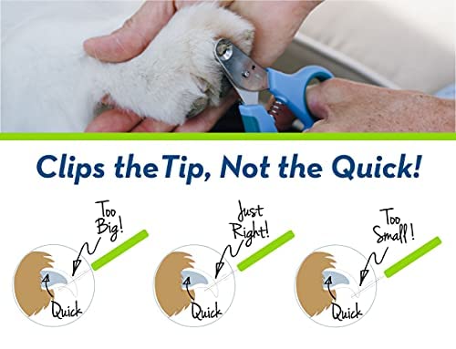 Zen Clipper Pet Nail Clipper For Dogs - Dog Nail Clipper For Safer Dog Grooming And Nail Care - Clean, Quiet, And Easy-To-Use St