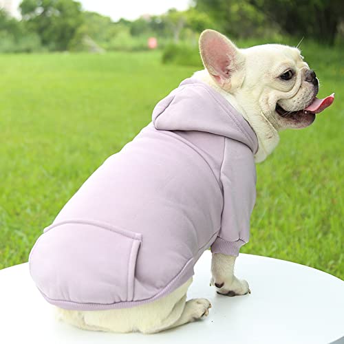 Tapbull Dog Dresses, Fashionable Pet Dog Sweatshirt Clothes In Light Colors, Cute Cat Birthday Dress Outfit (Pink/Purple/Coffee