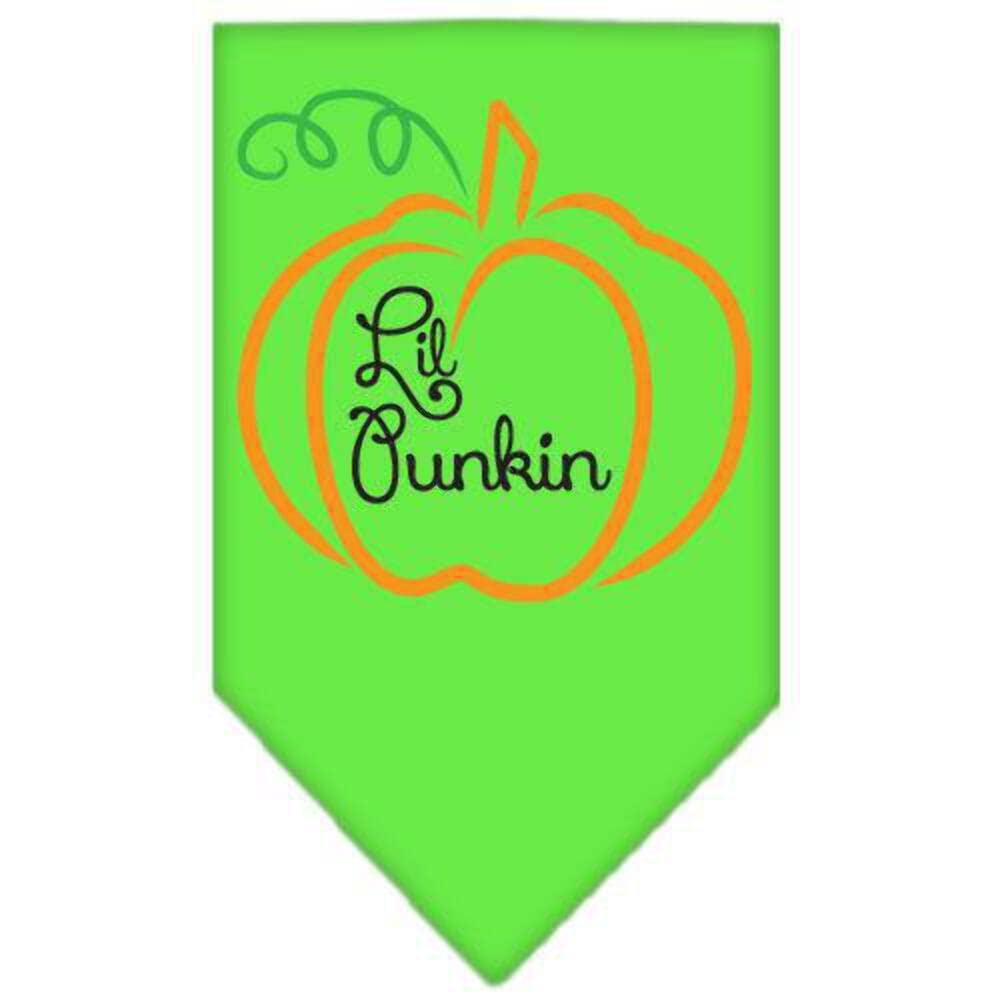Halloween Pet and Dog Bandana Screen Printed, Lil Punkin Brown Small
