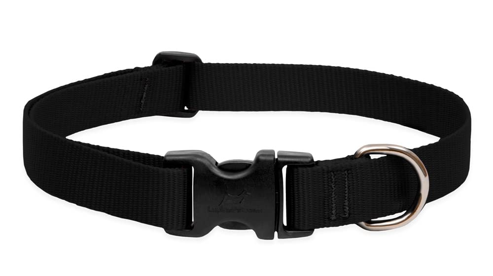 Lupinepet Basics 1' Black 12-20' Adjustable Collar For Medium And Larger Dogs