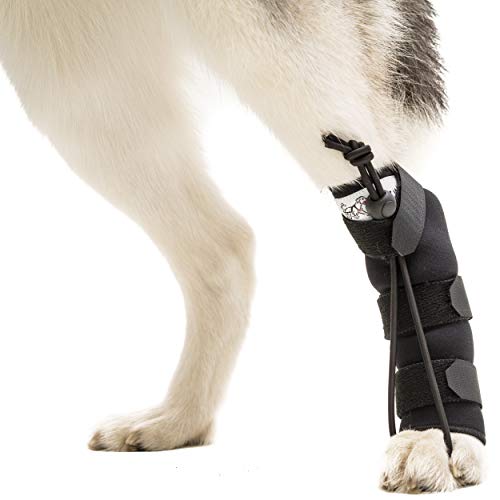 Walkin Rear No-Knuckling Training Sock  Helps Dogs Pick up Their Feet When Knuckling Under or Dragging Their Rear Paws