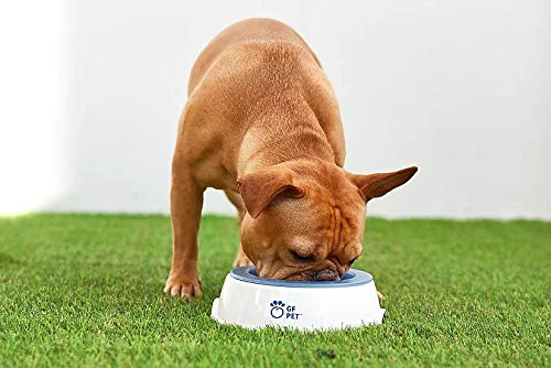 Gf Pet Ice Bowl - Refrigerated Water Bowl With Non-Toxic Cooling Gel - 16 Oz Capacity - Freezer Insert, Temperature-Regulating Pet Hydration Station, Melamine Base, Long-Lasting Coolness