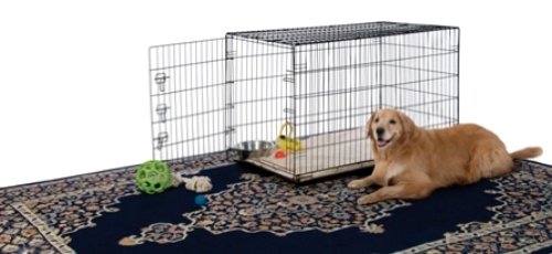 Prevue Pet Products Home On-The-Go Single Door Dog Crate E435, X-Large, Black, Collapsible, 49-1/2-Inch Long, 29-3/8-Inch Wide And 32-1/4-Inch High