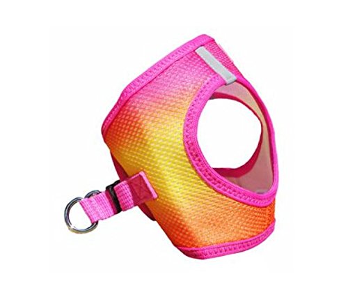 American River Choke-Free Dog Harness - Raspberry and Orange Sorbet Ombre