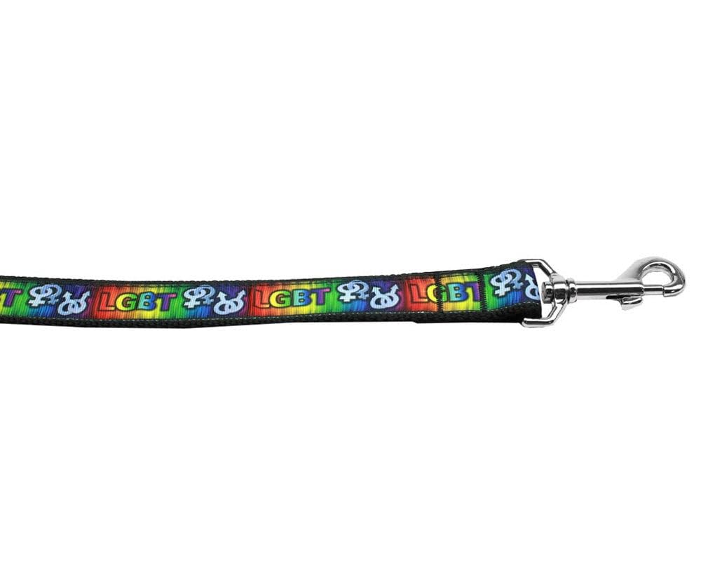 Pet Dog & Cat Nylon Collar or Leash, "LGBT" 1" w x 6 ft. leash