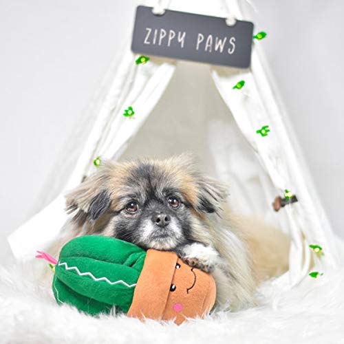 Fun Dog Toy