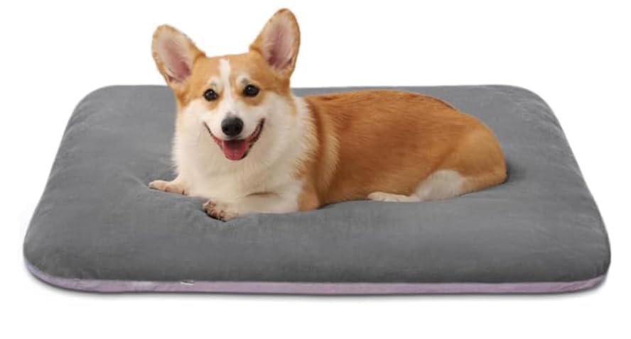 Unique Pet Collections Magic Dog Super Soft Medium Orthopedic Foam Pet Bed for Dogs with Anti Slip Bottom, Removable and Washabl