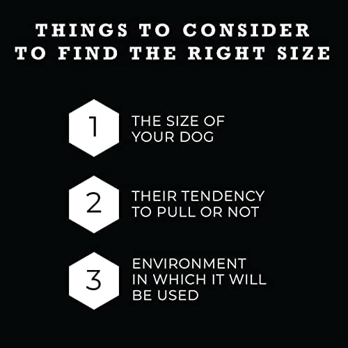 Wolfgang Heavy Duty Martingale Dog Collar With Quick Release Nylon Buckle For Walking & Training, Packleader Print, Small