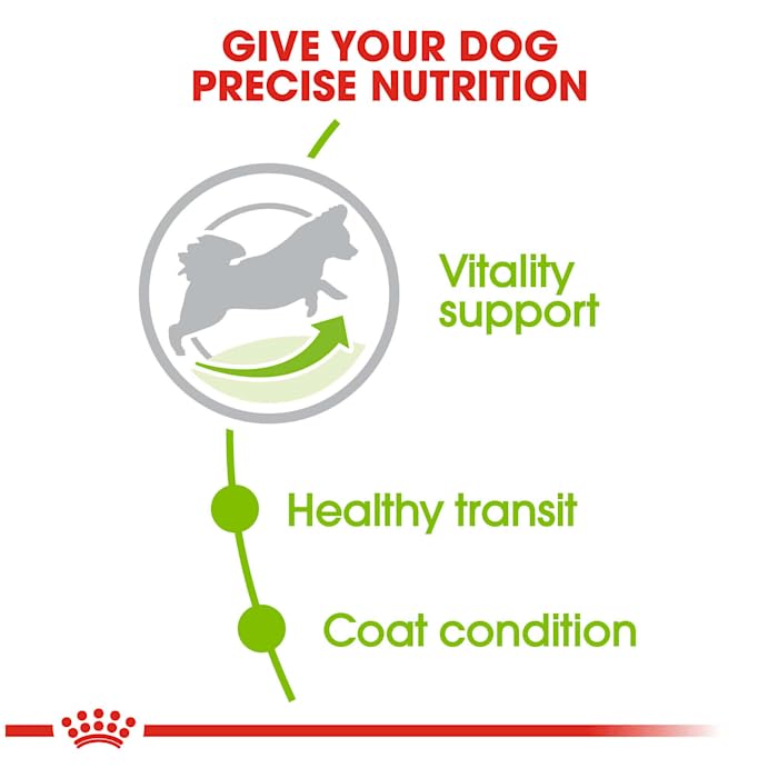 Royal Canin X-Small Adult 8+ Dry Dog Food, 2.5 lb bag