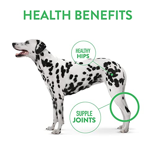 Dogswell Dog Hip Joint Soft Chew Grain Free Bacon 14oz.