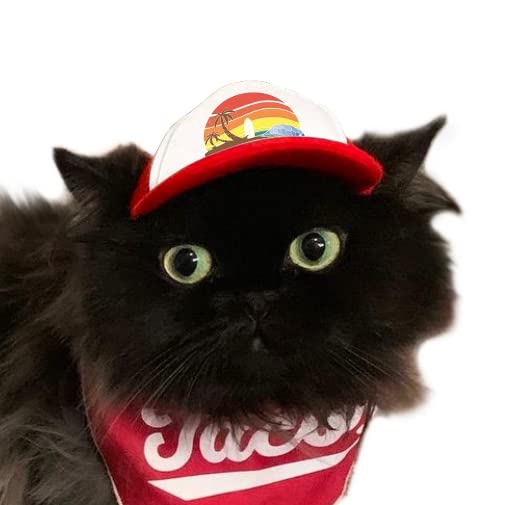 Puplid Trucker Hats For Kittens - Premium Stylish Sun Protection For The Modern Cat - Adjustable Secure Fitting Cat Hat (Red, Is