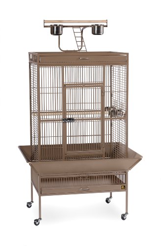Prevue Hendryx Pet Products Wrought Iron Select Bird Cage 3153Coco, Coco Brown, 30-Inch By 22-Inch By 63-Inch