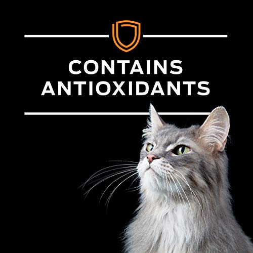 Pro Plan Veterinary Diets Purina OM Overweight Management Feline Formula Dry Cat Food - 6 lb. Bag