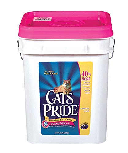 Oil Dri Catprid Catlitter, 17.5 Lb