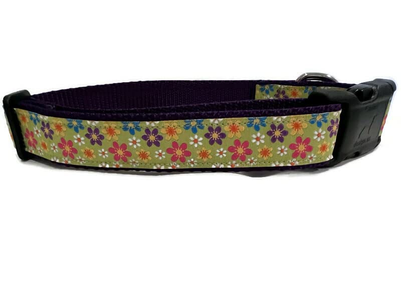 Spring Dog Collar, Caninedesign, Valentine, St Patricks Day, Easter, 1 Inch Wide, Adjustable, Nylon, Medium And Large (Gerber Da