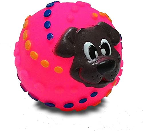Dog Trust Squeaky Puppy Face Ball Rubber Toy For Dog 1Pcs